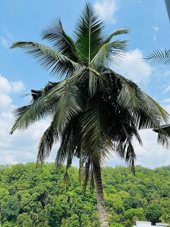 Hansons Homestay Kandy